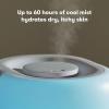 imageFrida Baby 3in1 Cool Mist Humidifier for Large Rooms Top Fill Humidifier for Bedroom Allergy Relief 60 Hour Runtime  Nightlight Auto ShutOff Quiet Carry Handle Essential Oil Diffuser06 Gallon Tank