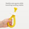 imageFrida Baby GrowwithMe Baby Toothbrush Training Set  Infant to Toddler Toothbrush 012 months Cleans All Sides at Once Oral Care for Sensitive Gums  YellowBaby Training Toothbrush 6M