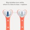 imageFrida Baby TripleAngle Toothhugger Training Toddler Toothbrush  Toddler Toothbrush 2 Years and Up Cleans All Sides at Once  2 Pack Yellow  PinkPink  Blue