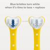 imageFrida Baby TripleAngle Toothhugger Training Toddler Toothbrush  Toddler Toothbrush 2 Years and Up Cleans All Sides at Once  2 Pack Yellow  PinkYellow  Blue