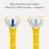 imageFrida Baby TripleAngle Toothhugger Training Toddler Toothbrush  Toddler Toothbrush 2 Years and Up Cleans All Sides at Once  2 Pack Yellow  PinkYellow