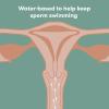 imageFrida Fertility Lubricant ConceptionFriendly Water Based Lube for Family Planning and Pregnancy Support Sperm and pH Balance Safe Natural Hydration Stain Free and NonSticky 17 Fl Oz
